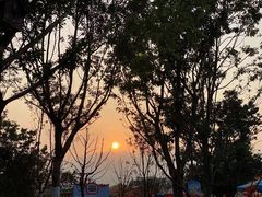 -金鼎雪山牦牛杂火锅(理县总店)