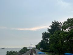 -上海滨江森林公园
