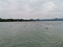 -钦赐仰殿道观
