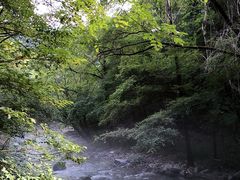 -关门山森林公园