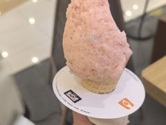 -野人先生Gelato(上海长宁龙之梦店)