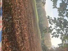 -河南省黄河迎宾馆