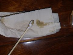 -瑞派·关忠动物医院·异宠专科·犬猫肿瘤·皮肤专科(望京店)