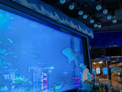 -烟台海昌鲸鲨海洋公园