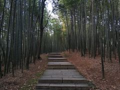 -西湖风景区十里琅珰-五云山