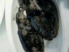 乌贼-舟山渔场(临安沙地路店)