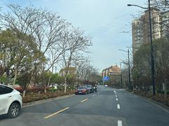 -新江湾城公园