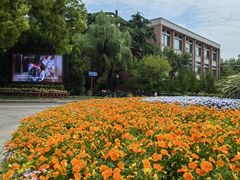 -同济大学(沪西校区)
