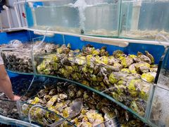 -四海蒸鲜蒸汽海鲜自助(北戴河店)