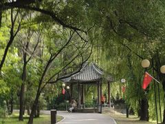 -二一九公园