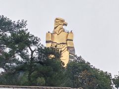 -大金鹰园