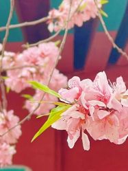 -盘子女人坊古装写真摄影(天津总店)