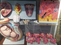 -山东嘉汇文化用品有限公司张店凤凰国际分公司(新村西路店)