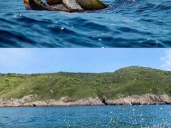 -广东惠东海龟国家级自然保护区