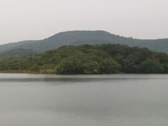 -佛手湖郊野公园