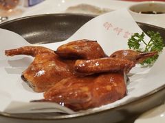 -醉辉皇原味海鲜江南菜(成都大魔方店)