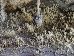 -雪玉洞景区