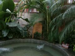 -南宫温泉水世界