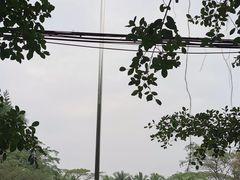 -红色娘子军纪念园