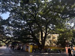 -桂林独秀峰王城景区