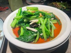 -新白鹿餐厅(金鹰新街口店)