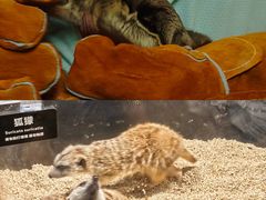 -太平洋海底世界