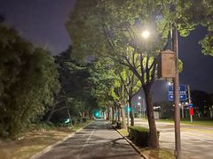 -浦东机场p4停车场
