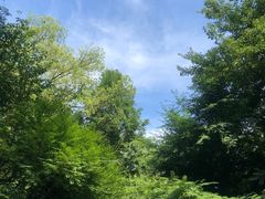 -杭州半山国家森林公园