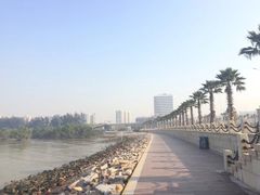 -宝安西湾红树林湿地公园