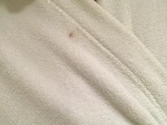 -深圳福青龙华天假日酒店