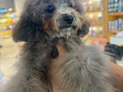 -萌宠主义宠物生活馆(金山路店)