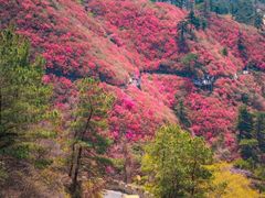 -木兰云雾山
