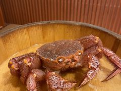 -蟹田居·活蟹料理(东城店)