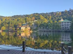 -庐山风景区花径公园