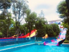 -苏州乐园森林水世界