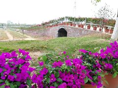 景点-盈香心动乐园