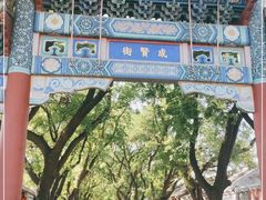 -北京国子监胡同