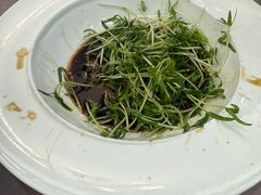 -丁老爷子苏香圆