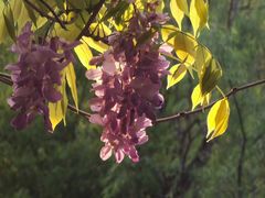 -郑和公园
