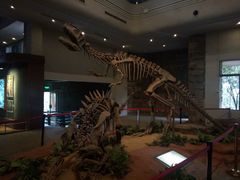 -自贡恐龙博物馆