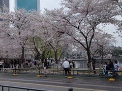 -西北湖绿化广场