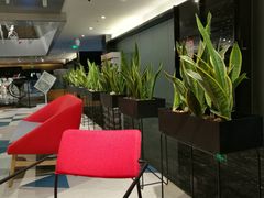 -Hiwork cafe(新街高和店)