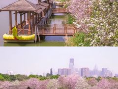 -海珠湖公园