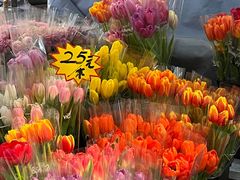 -循礼门鲜花花市(武汉循礼门店)