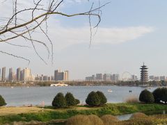 -洋湖国家湿地公园