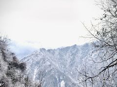 -卧龙自然保护区