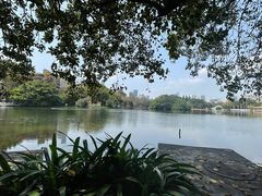 -荔枝公园-小平画像广场