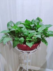 -弗蕾亚·和月月子调理院(东湖店)