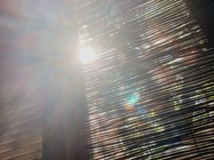 -斯多格书乡(北京大学畅春园店)