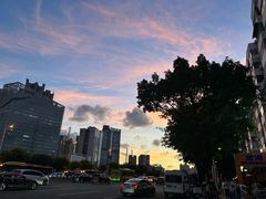 -东风公园
